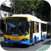 Brisbane Transport Scanias